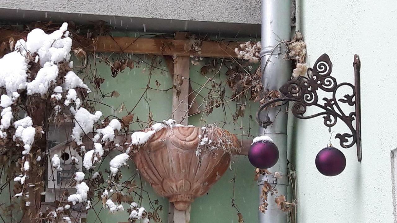 Appartement Zum Kleinen Riesen à Erfurt Extérieur photo